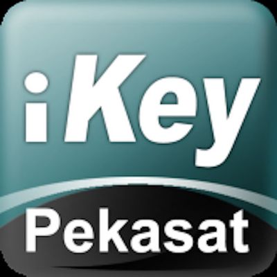 car alarm